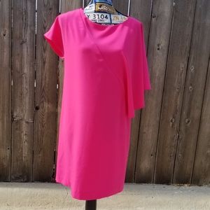 Zara Basic Pink One Shoulder Dress